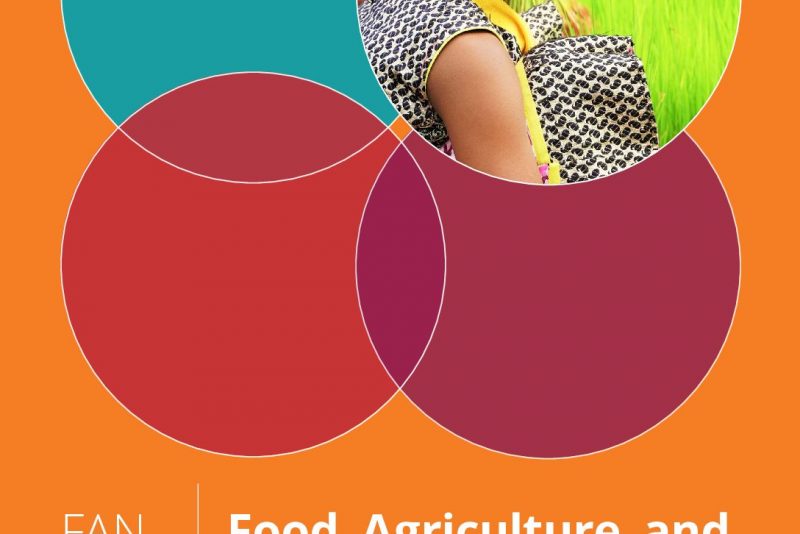Food, Agriculture, and Nutrition in India