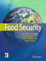 Food security publication cover
