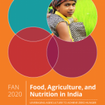 Fan 2020 report cover