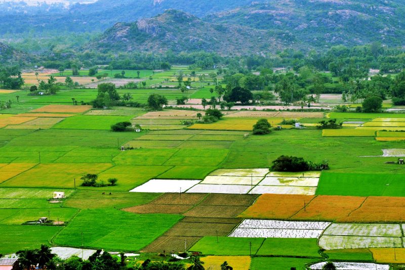farmland