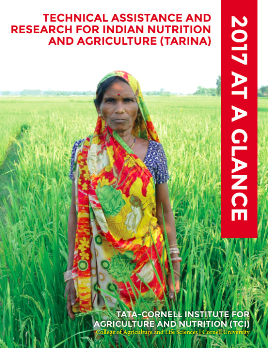 2017 at a glance cover