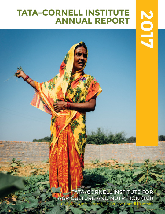 2017 annual report cover