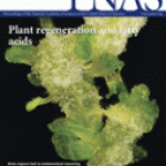PNAS cover art
