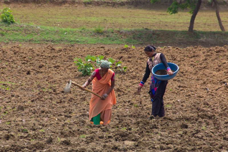 Women farming