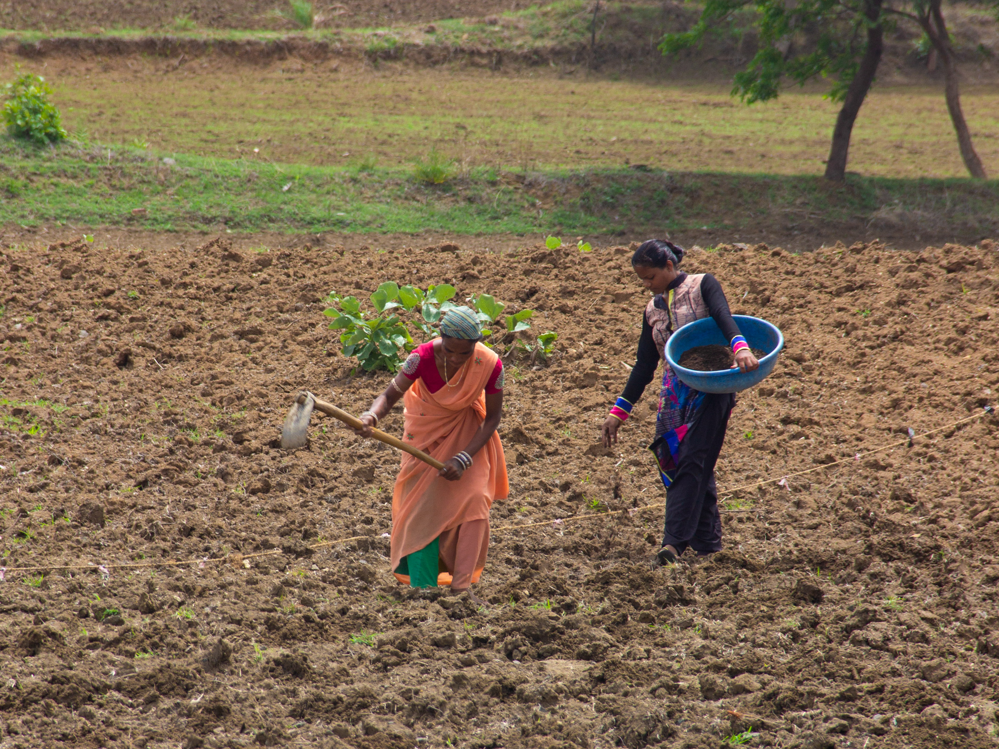 Women farming