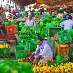 Workers packing citrus fruit in boxes at a market