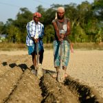 Two men plowing a field