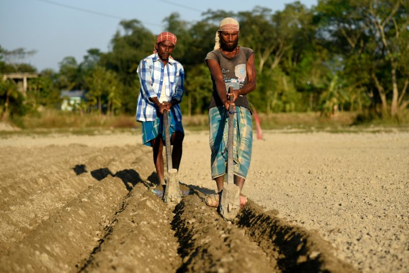 Two men plowing a field