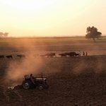 A Pakistani farmer drives a tractor