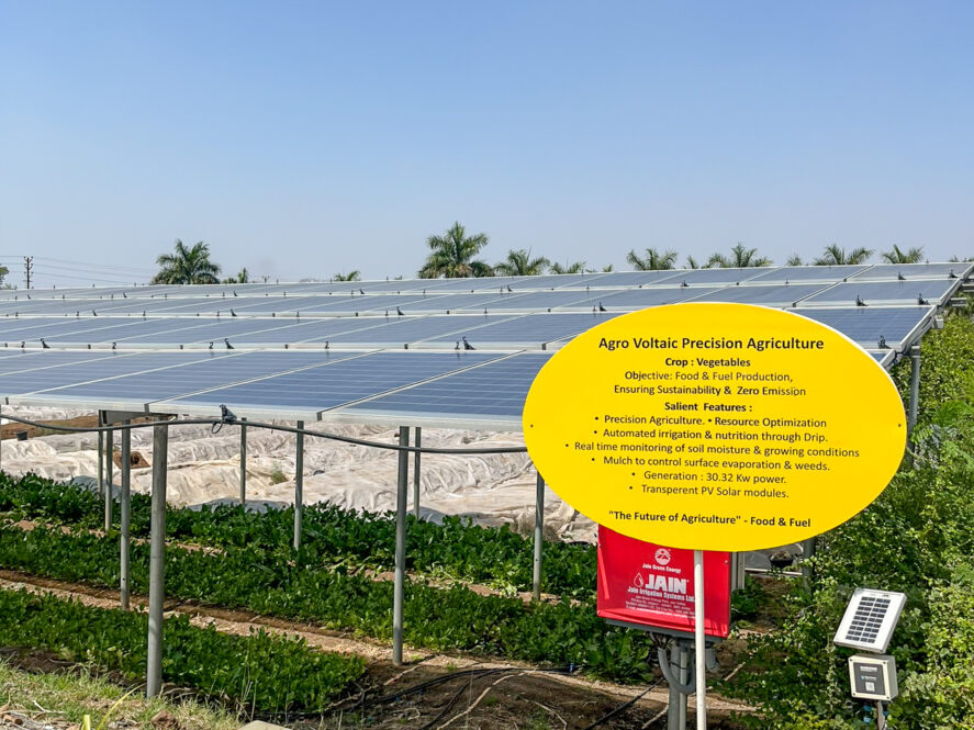A demonstration of agrivoltaics - solar panels on the same land as agriculture