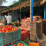 Crates of tomatoes at a market