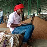 A man uses a laptop at an agricultural market