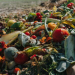 A pile of discarded vegetables