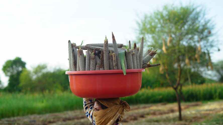 A woman balancing a bowl of millet on her head