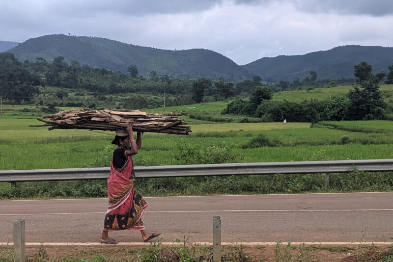 A woman carrying wood from a forest in Thuamul Rampur. (Photo by Amrutha Jose Pampackal/TCI)