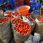 Sacks of tomatoes