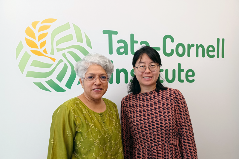 Madhura Swaminathan and Ting Meng