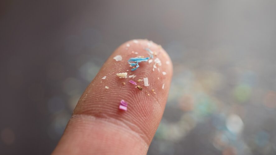 Bits of microplastic on a fingertip